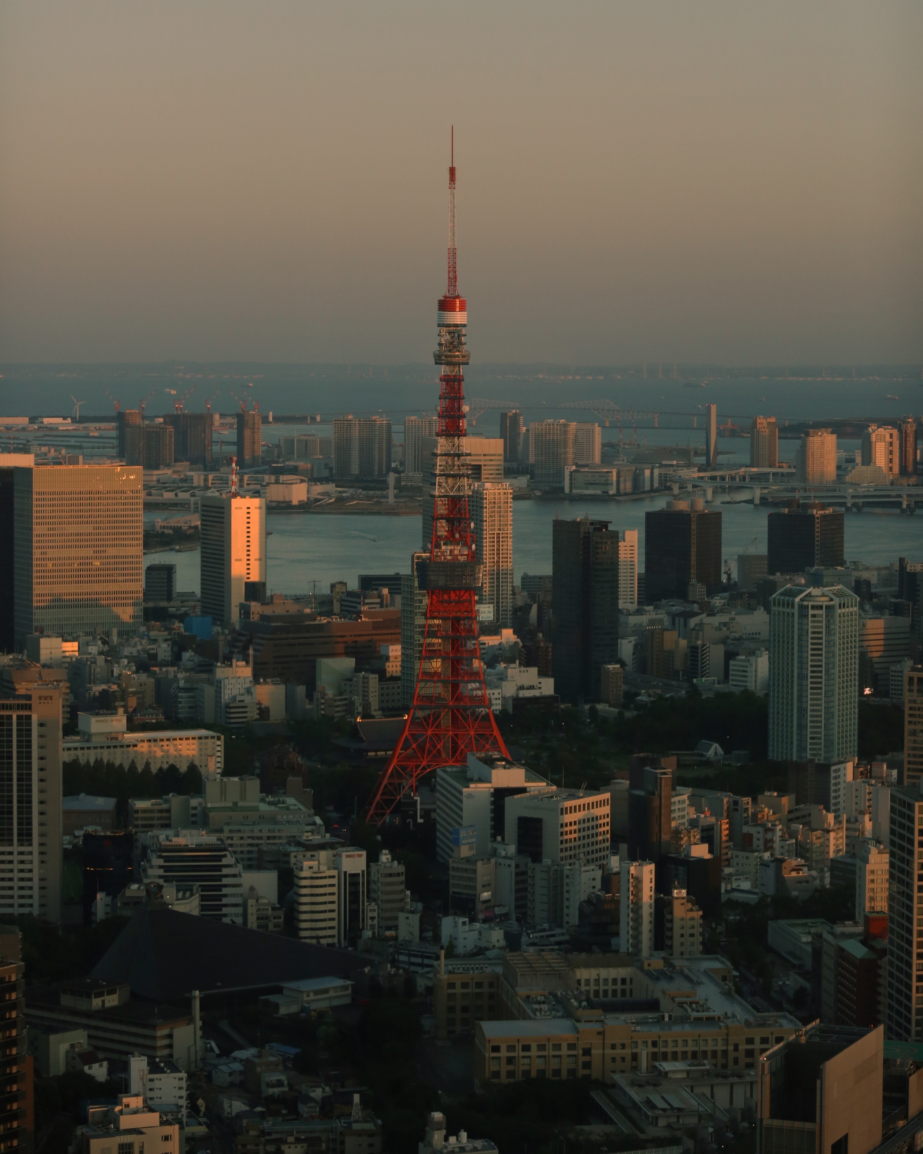 （フォト）東京タワー全景 - フォト