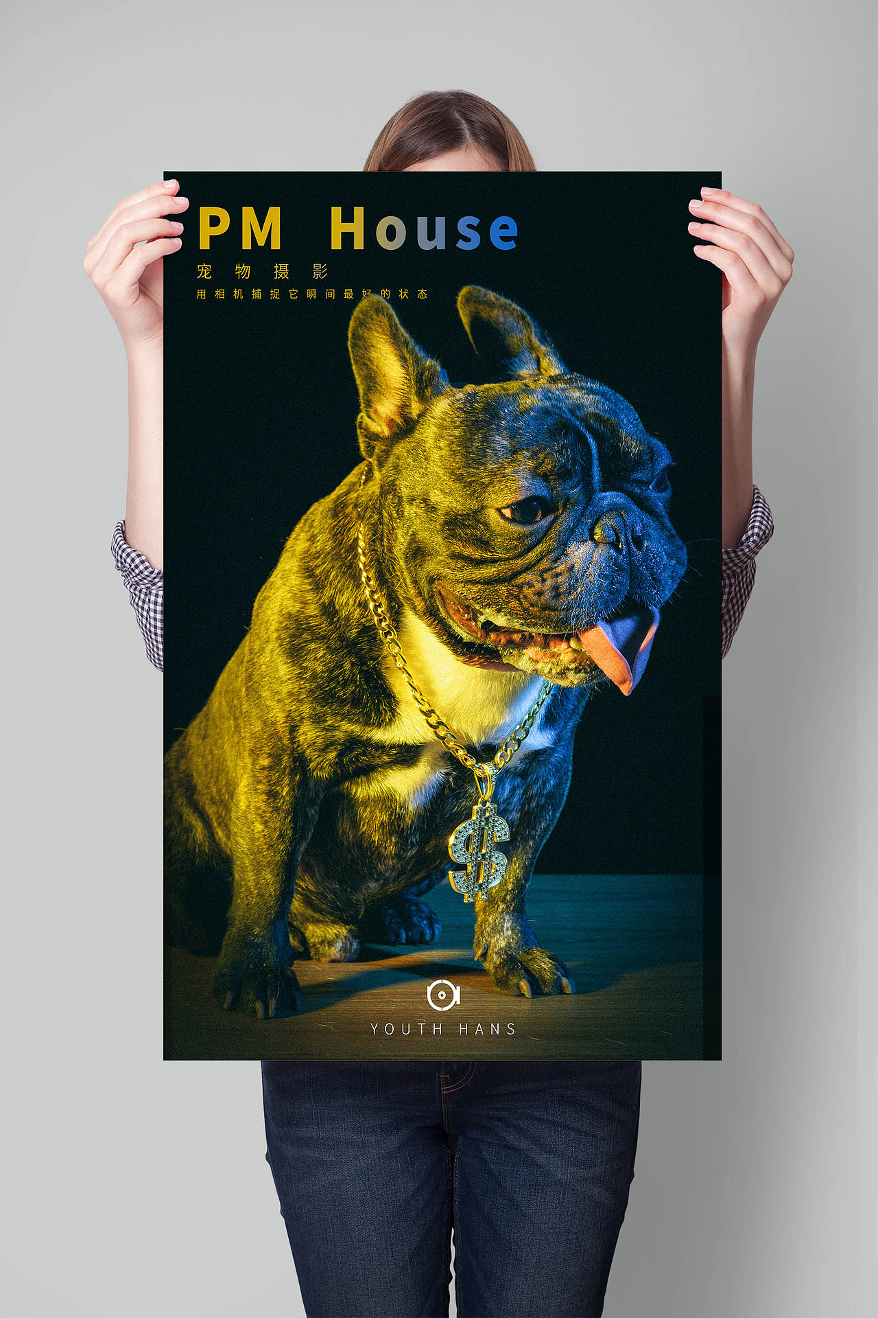 宠物摄影宣传海报