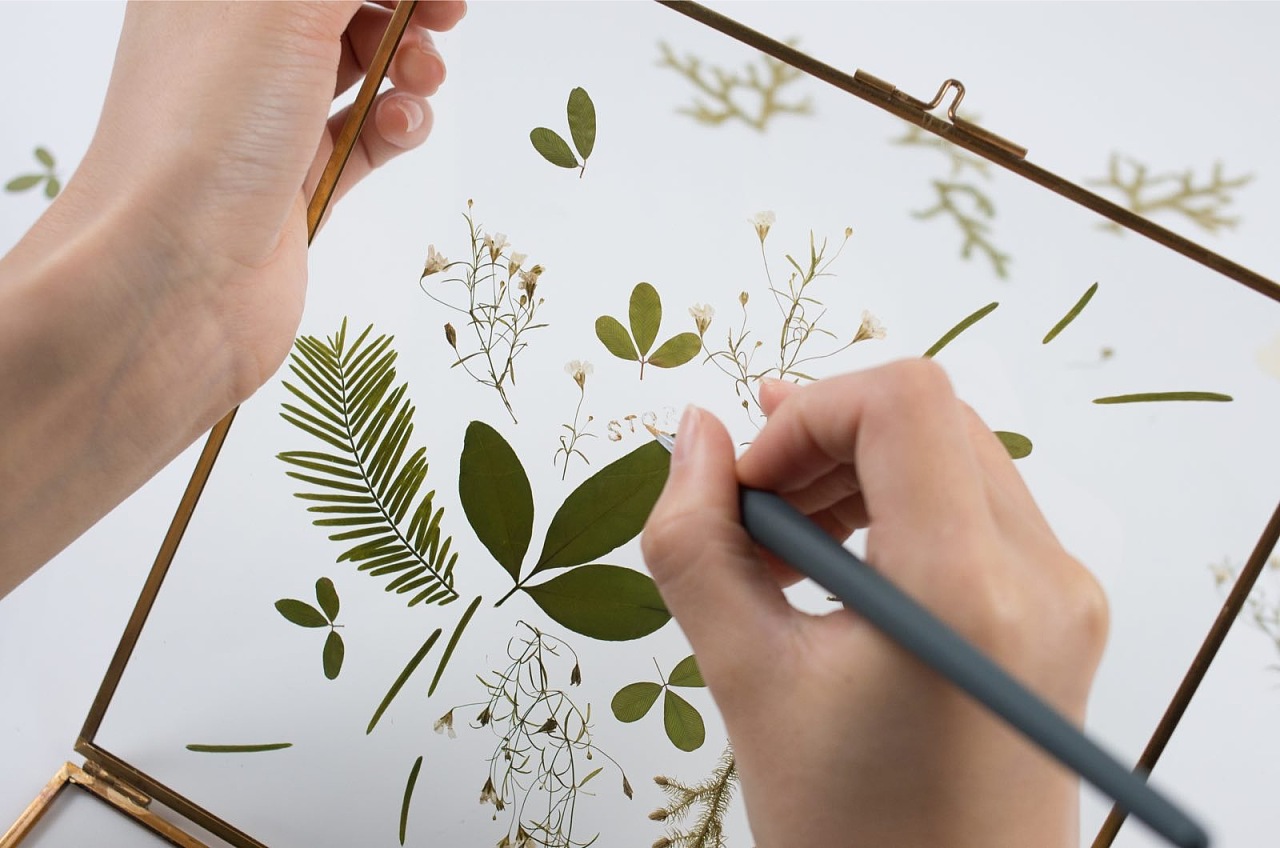 手工押花平面插画|平面|图案|tian刘天 - 原创作品 - 站酷 (zcool)