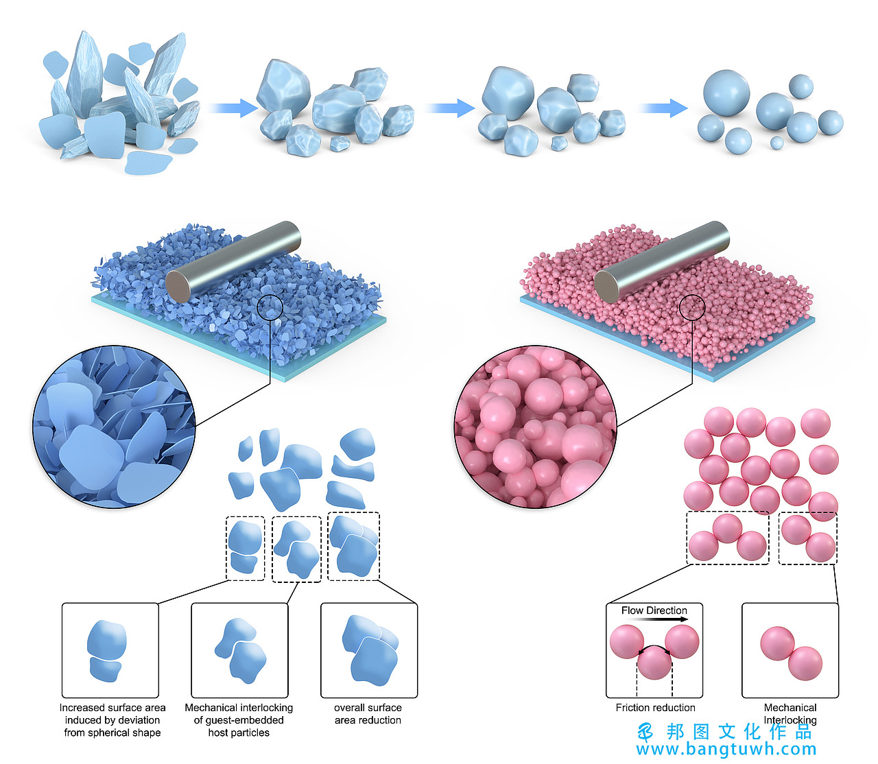 科研绘图作品 邦图文化