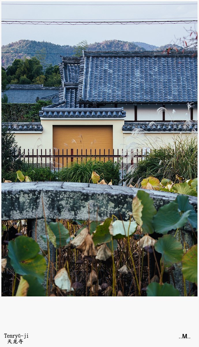 绕了一圈后,我又从大觉寺走回了天龙寺……(请自行计算这段距离……推测疲惫数)虽然稍微人少了一些,能有空拍到门口吃糖的石桥了~