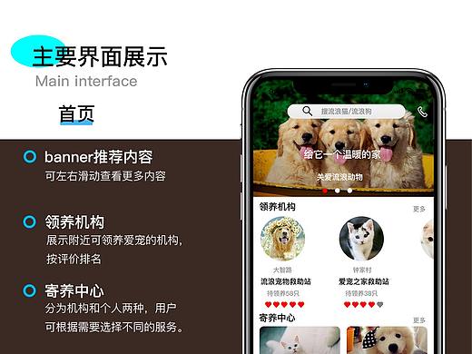 宠物app