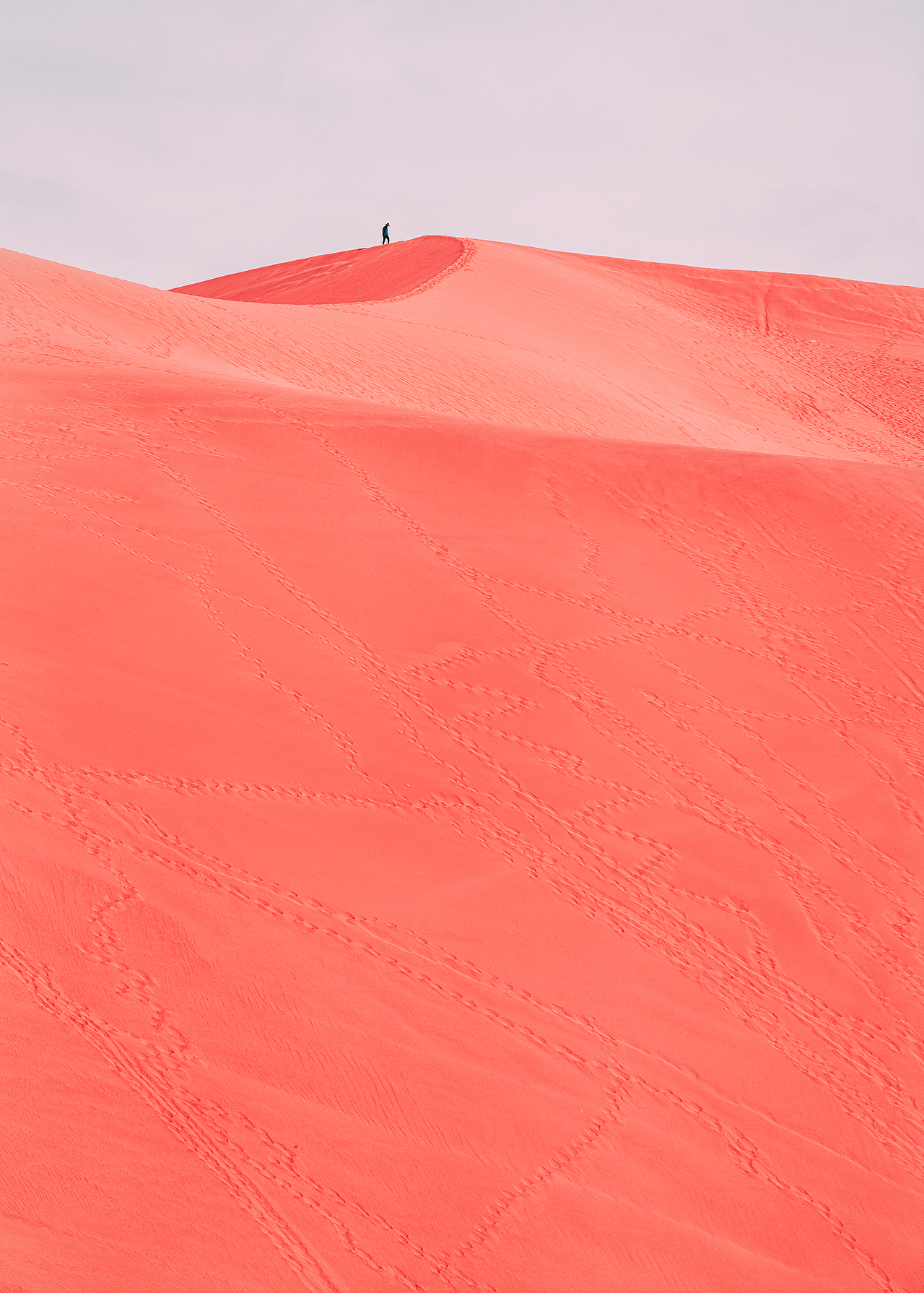 Pink Art（图ZMjI3OTQ1MTgw） - 其他摄影 - 站酷设计师戴帽子的那个路遥原创素材 - 站酷ZCOOL