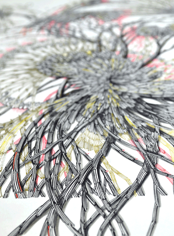 在离自然最近的地方等你