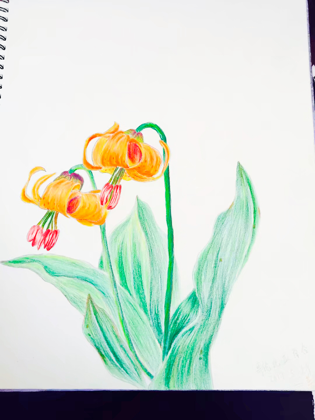 彩铅绘画（图ZMTE4NTcyNzUy） - 绘本 - 站酷设计师SHMmn原创素材 - 站酷ZCOOL