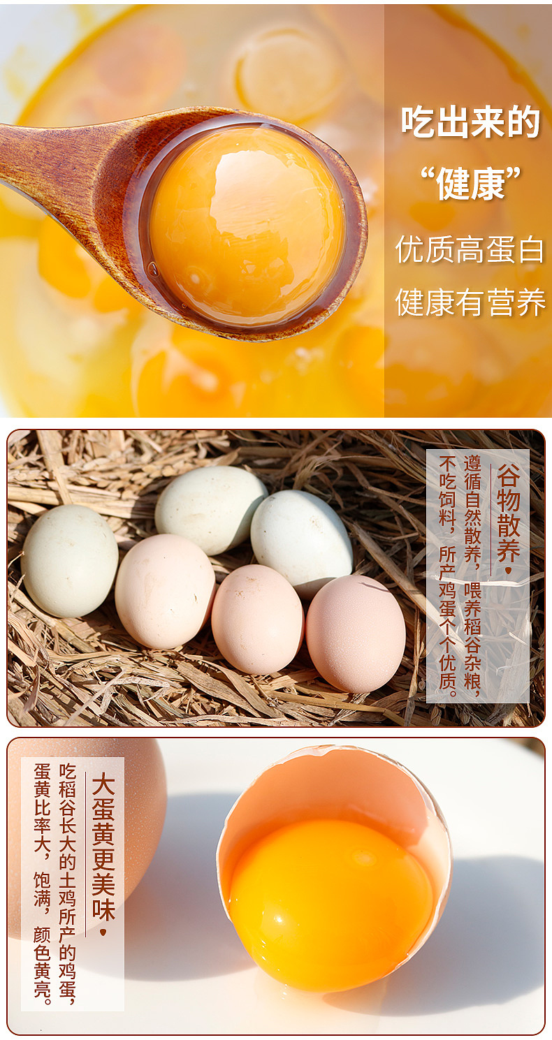 土鸡蛋（图ZMjQ5ODE0Mjky） - 电商 - 站酷设计师杨三三阿原创素材 - 站酷ZCOOL