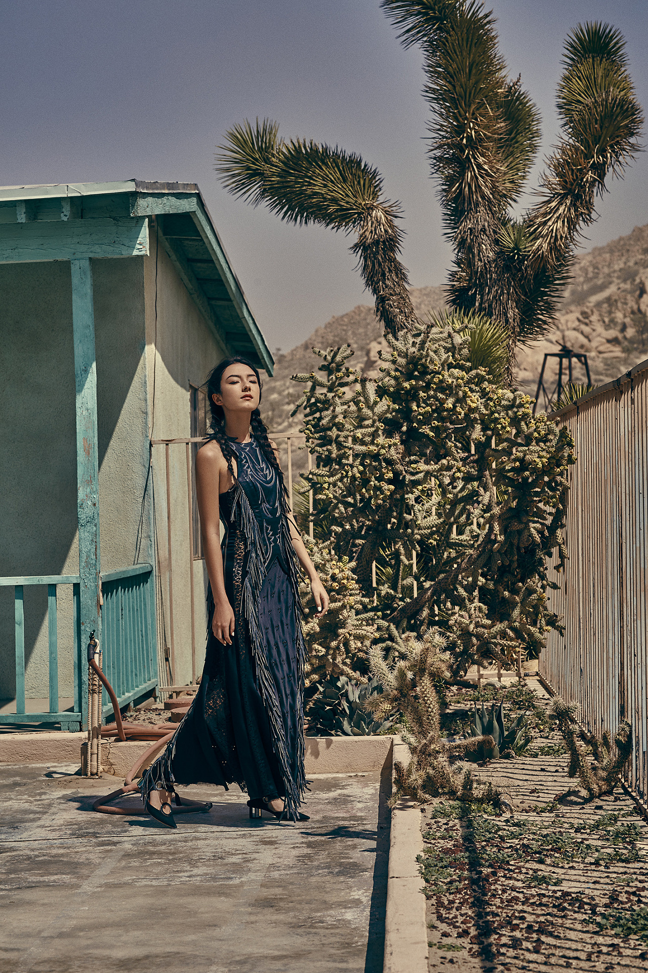 卧虎藏龙刘承羽