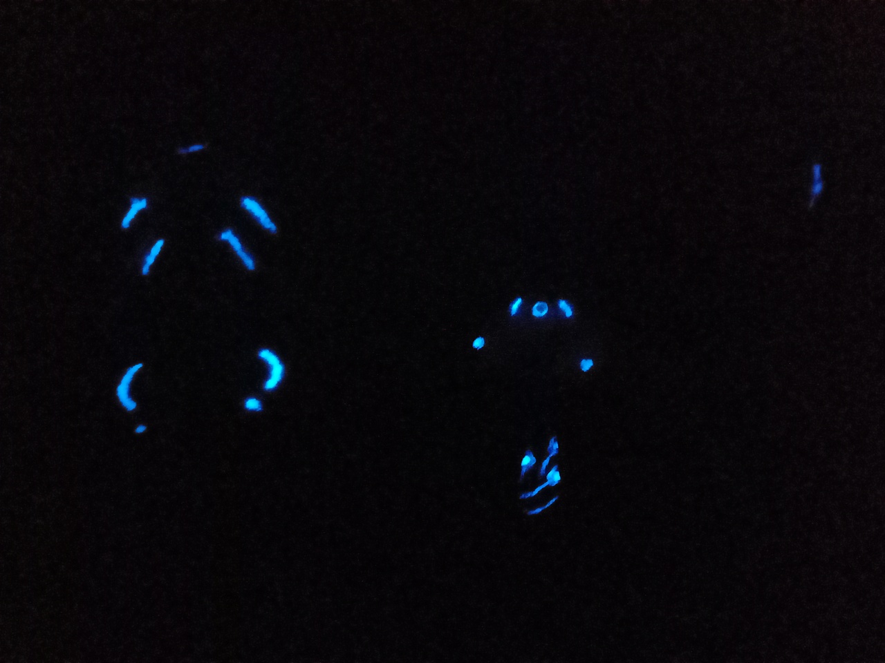 手作玩偶|蛾 国风蛾