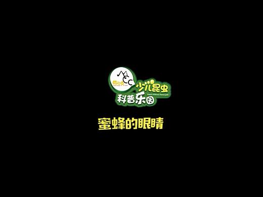 360°全景VR科普视频-昆虫的复眼