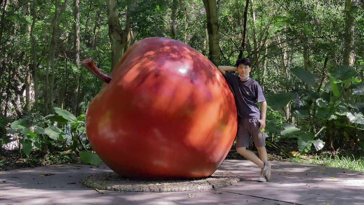 深圳一夏（图ZMjE1MTk0MzQ0） - 人文/纪实摄影 - 站酷设计师榫陋原创素材 - 站酷ZCOOL