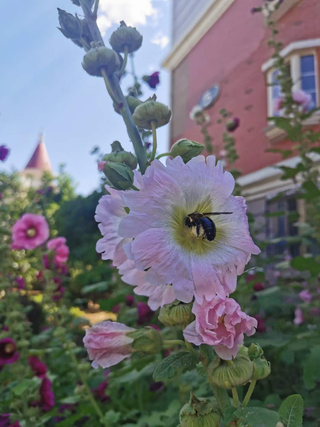 麋鹿麋鹿不迷路的个人主页（封面预览） - 主页封面设置 - 站酷设计师麋鹿麋鹿不迷路原创素材 - 站酷ZCOOL