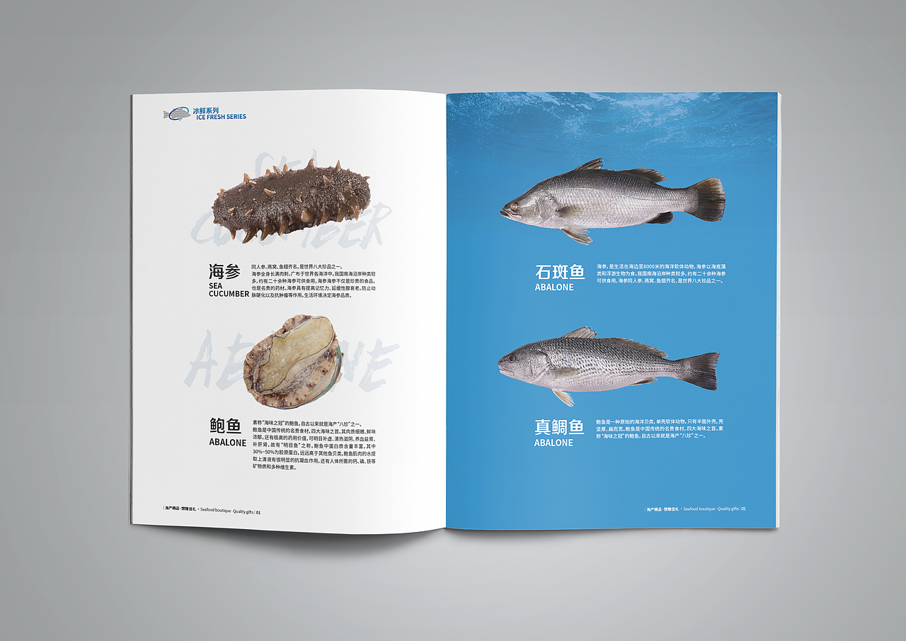 海产品牌画册