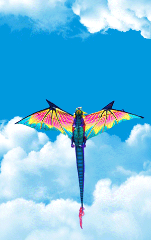 2015武汉国际风筝邀请赛