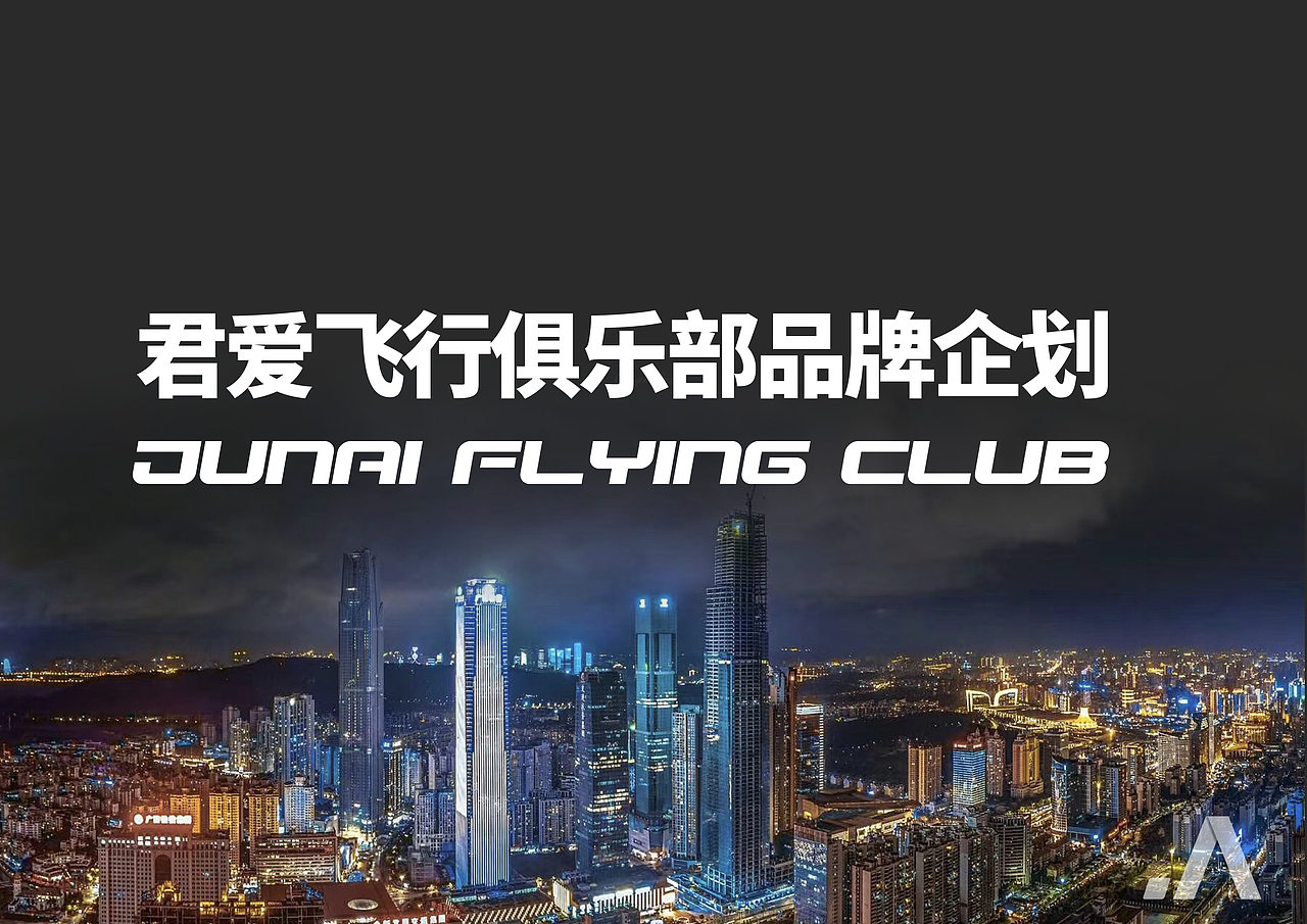 君爱飞行俱乐部vi设计