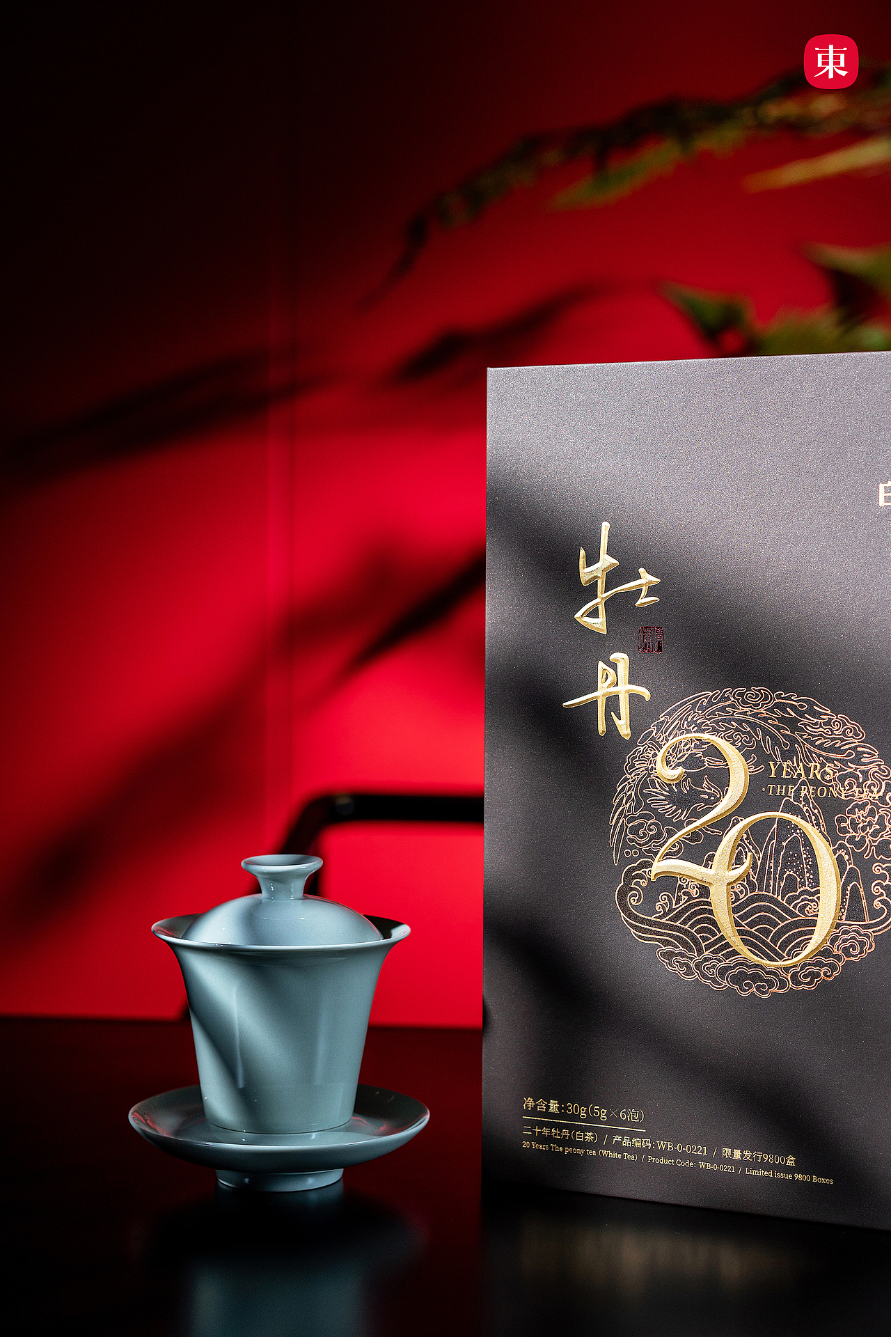 【东集Tonji】白茶金库福鼎白茶白牡丹5年10年15年20年