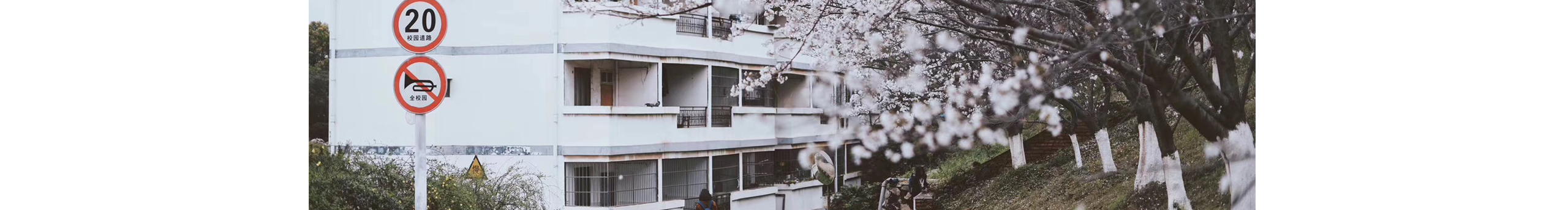 Miayiu的个人主页（封面预览） - 主页封面设置 - 站酷设计师Miayiu原创素材 - 站酷ZCOOL