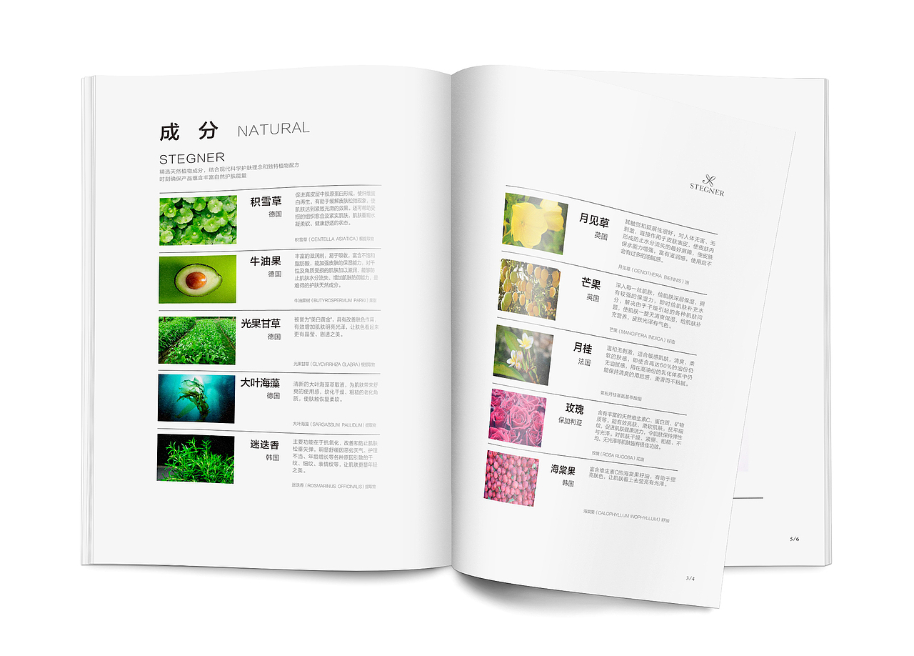 【斯黛娜 化妆品画册】（图ZNTI5MTEzMzY=） - 书籍/画册 - 站酷设计师Double丶H原创素材 - 站酷ZCOOL