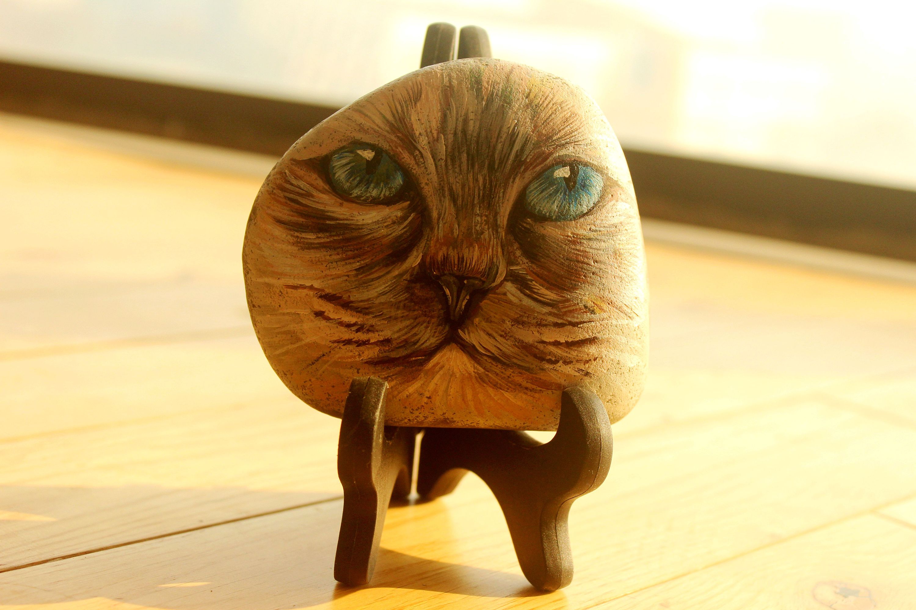 猫你的脑袋掉了完整版