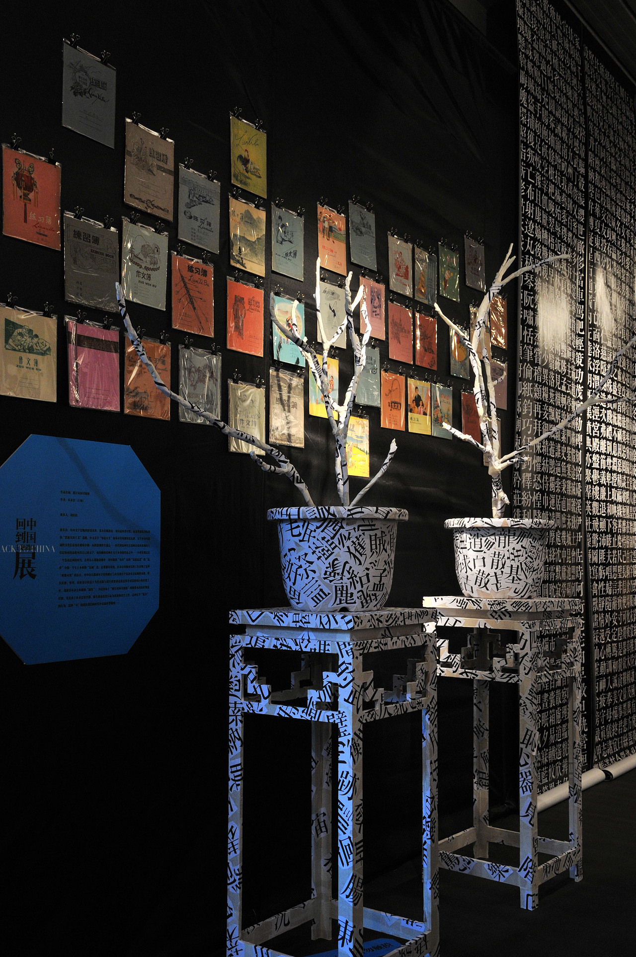 回到中国主题邀请展