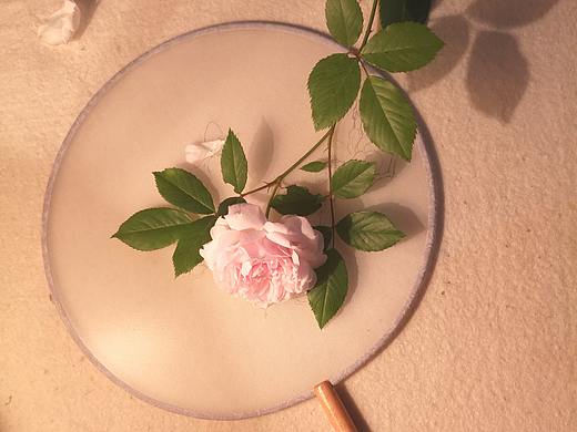 工笔花鸟小品 团扇