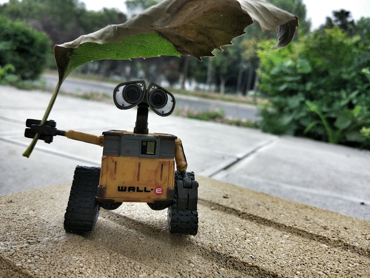 寻找伊娃（图ZNTM0NzQ1MzY=） - 产品摄影 - 站酷设计师蜗牛大声唱原创素材 - 站酷ZCOOL