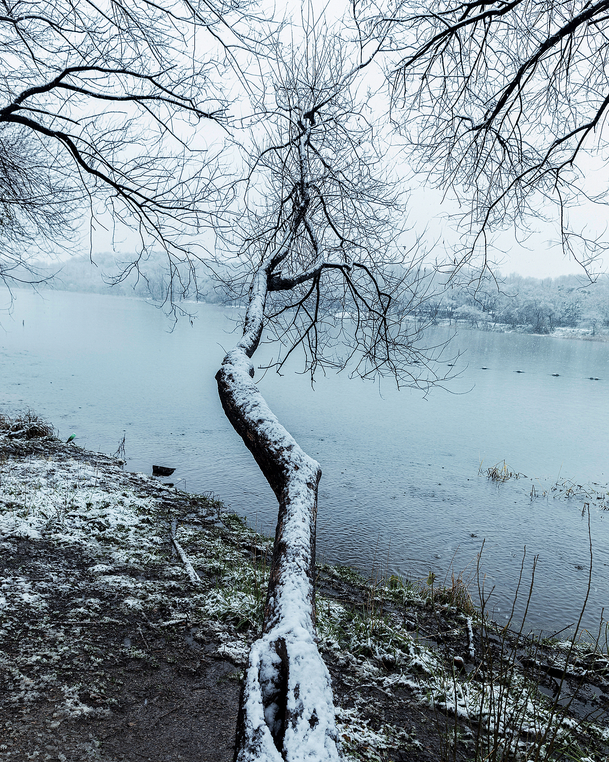 杭州雪景小集
