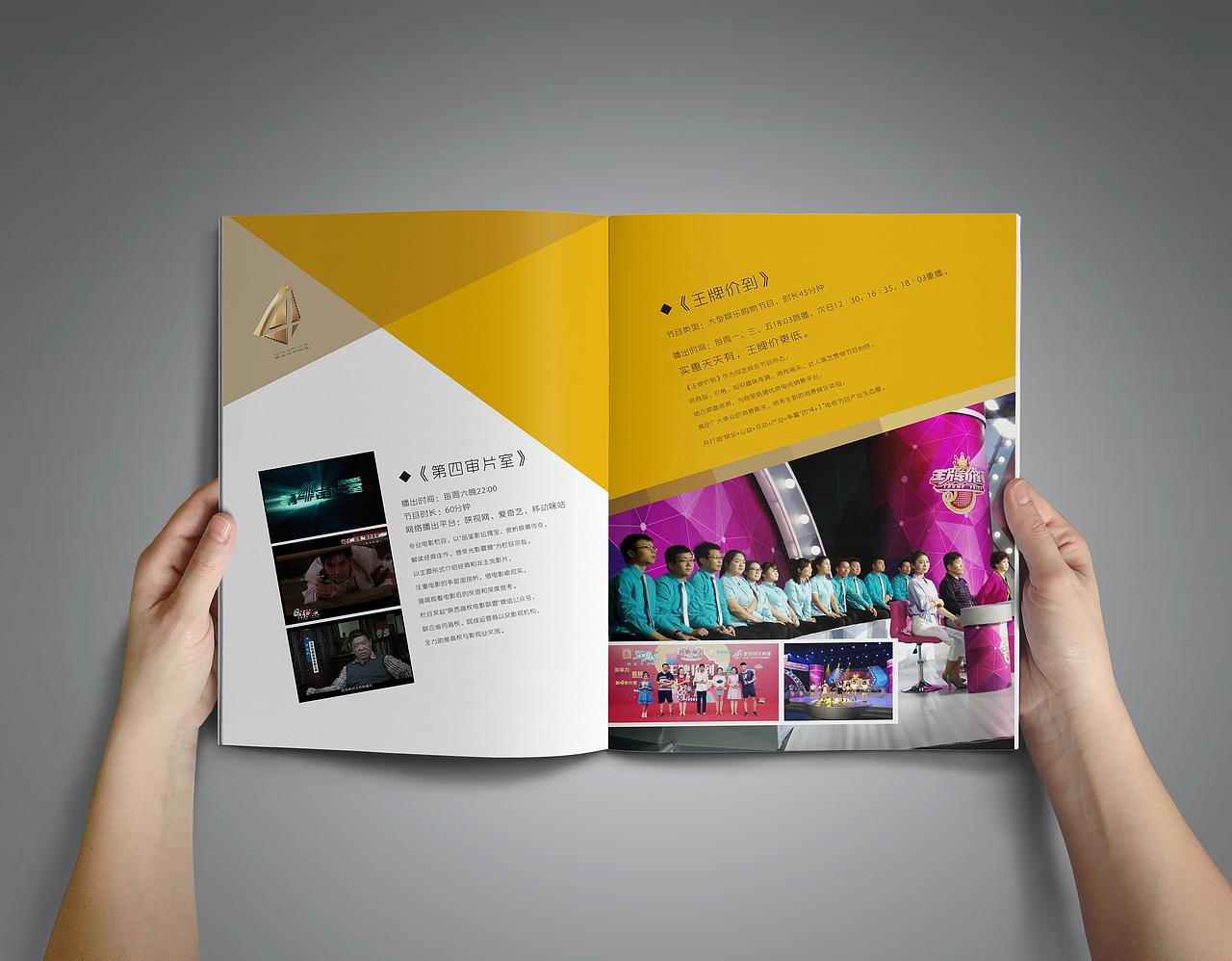 陕西电视台第四频道（图ZMTA3Njk5NTYw） - 书籍/画册 - 站酷设计师BybyDesign原创素材 - 站酷ZCOOL