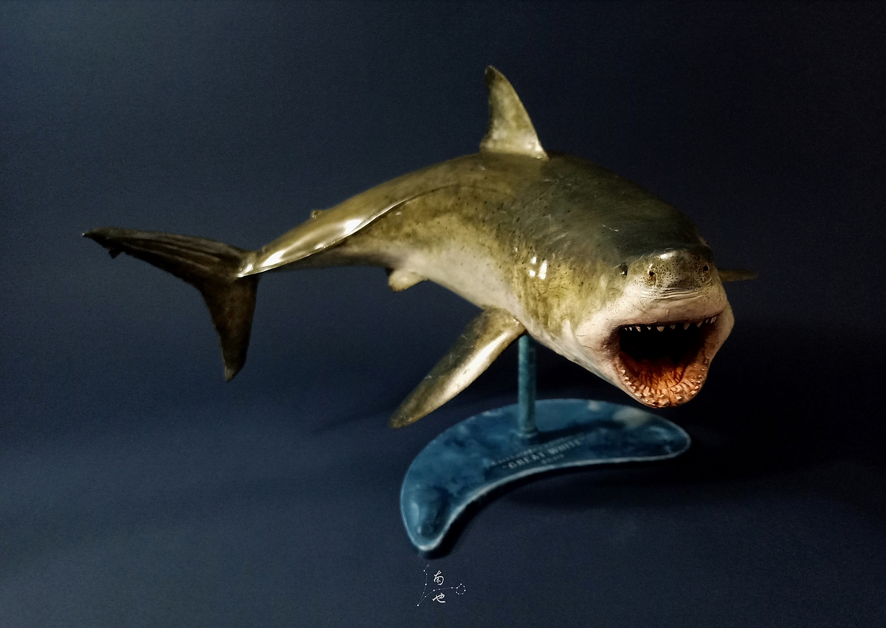 涂装作品丨pegasus hobbies 飞马大白鲨