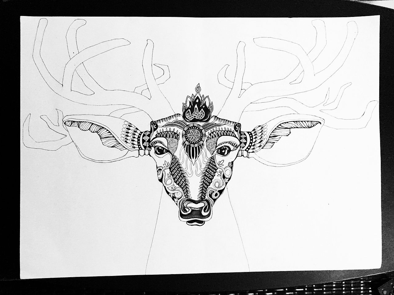 鹿头~|插画|商业插画|少野1029_原创作品-站酷zcool