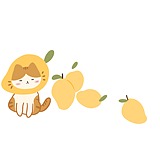 大头南瓜的头像