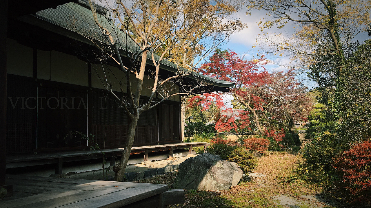 2017 留學(xué)在京都（圖ZOTg2NTMzODA=） - 其他攝影 - 站酷設(shè)計師棒棒醬原創(chuàng)素材 - 站酷ZCOOL