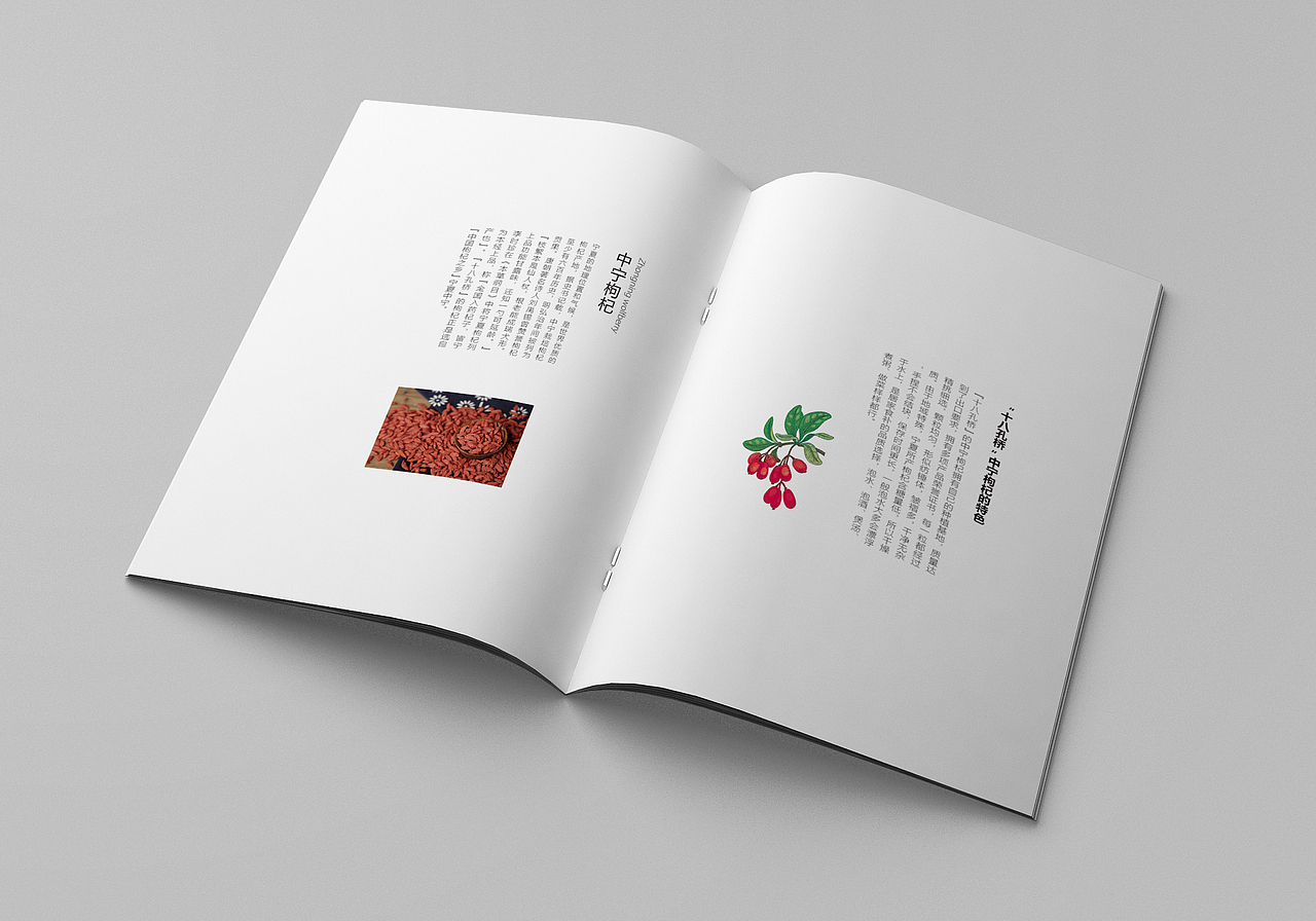 8月份画册作品整理（一）