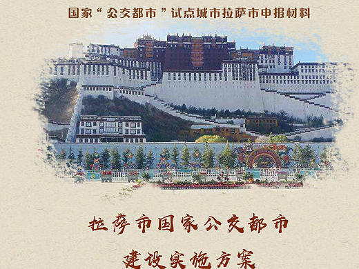 拉萨项目汇报封面