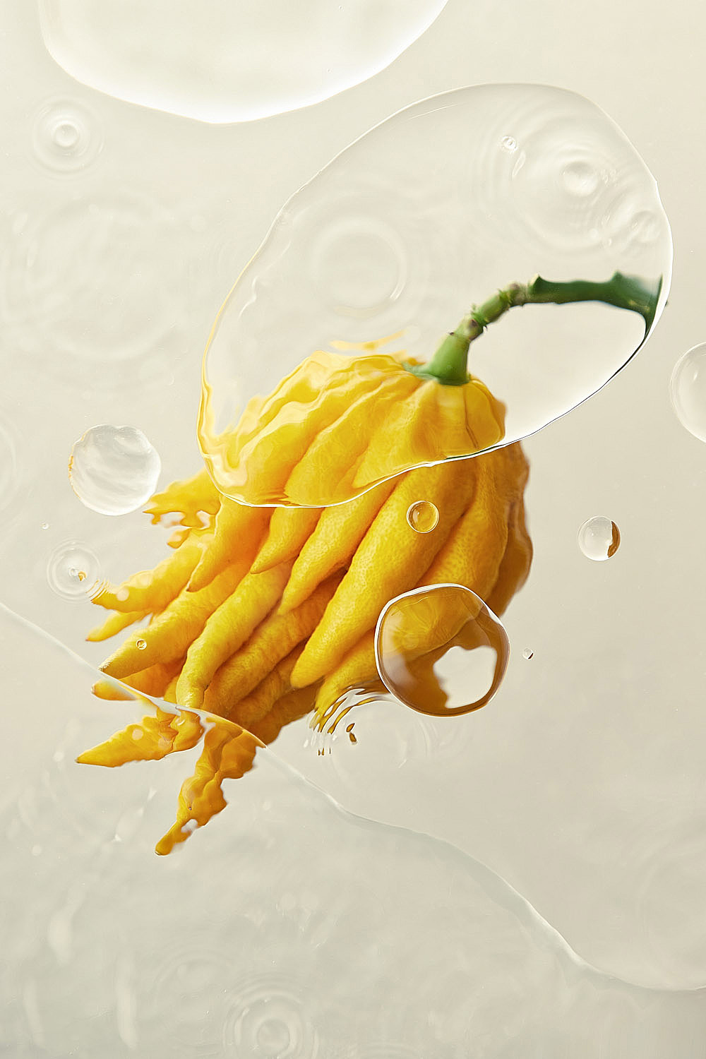 佛手柑 // bergamot br>这只佛手柑是从工作室附近经常逛的一家花艺店