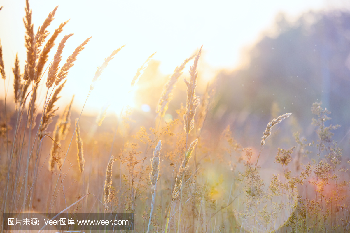 翟日勵(lì)的個(gè)人主頁(yè)（封面預(yù)覽） - 主頁(yè)封面設(shè)置 - 站酷設(shè)計(jì)師翟日勵(lì)原創(chuàng)素材 - 站酷ZCOOL