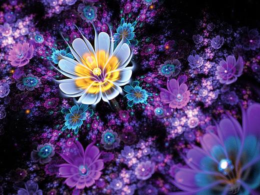 分形(Fractal)第四十五辑：秘境花开