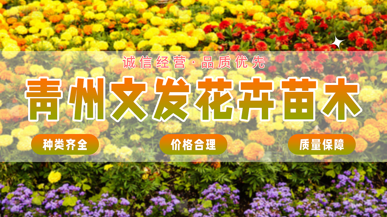 工作中的banner2023(下半年)
