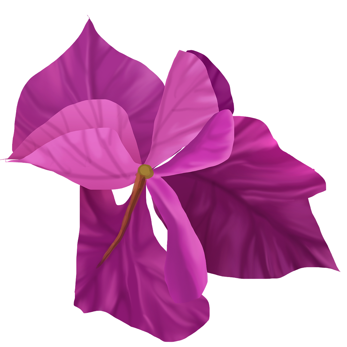 【唯美手绘】三角梅婚礼花艺，点亮你的爱情故事（图ZMzY3NjgyMzgw） - 其他平面 - 站酷设计师YHwedding原创素材 - 站酷ZCOOL