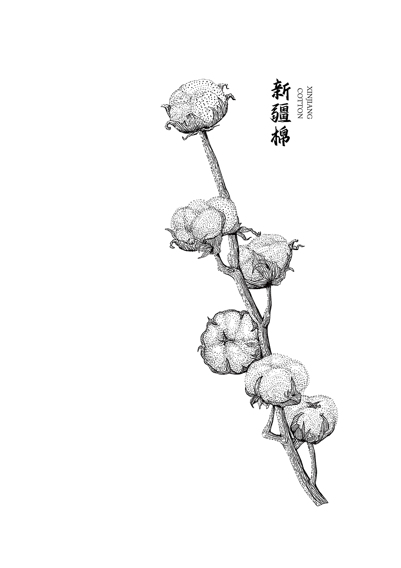 魁（图ZMzA3MDkzNDQ0） - 艺术插画 - 站酷设计师阿道插画原创素材 - 站酷ZCOOL