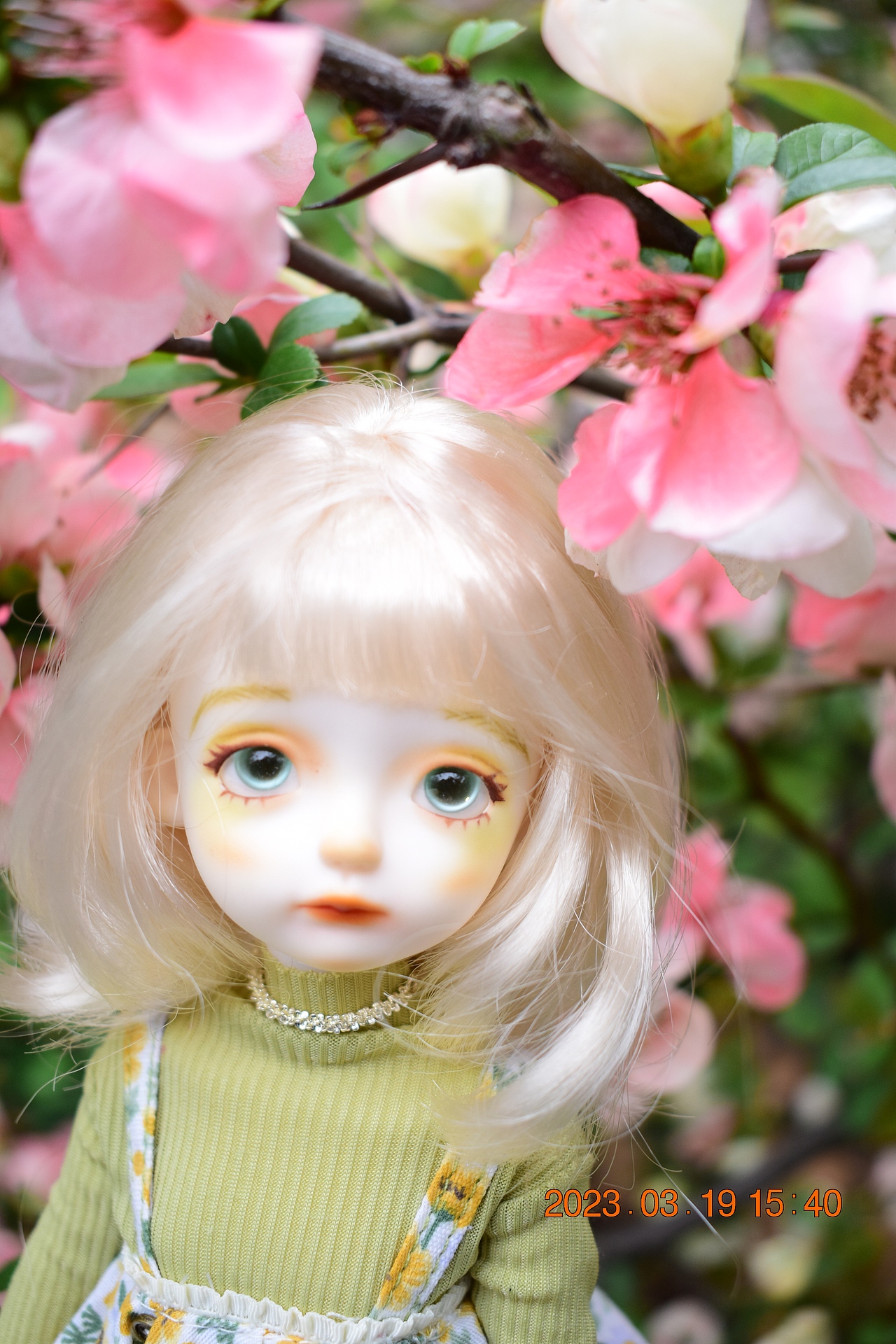 震惊!竟然在长风公园拍到了偶像!