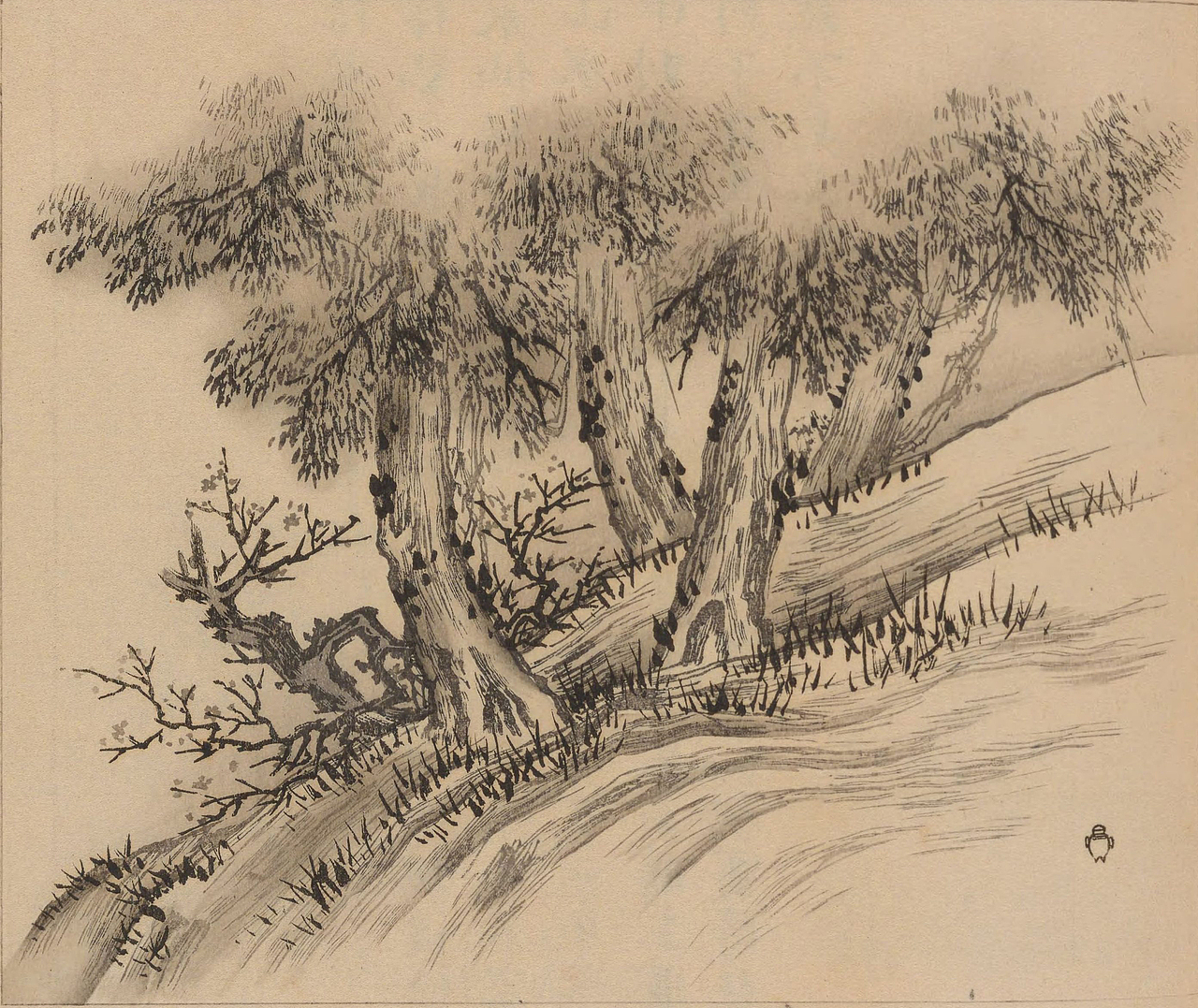 《心华帖》乙册插图欣赏