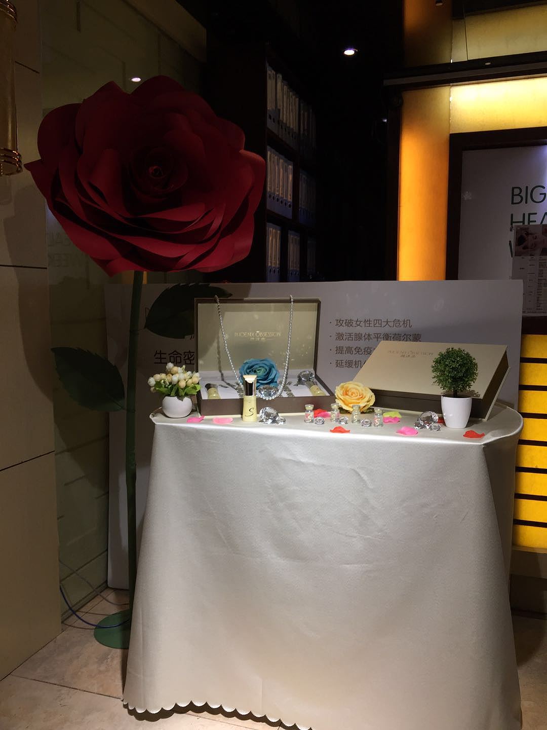 爱与尊宠—遇见最美的自己