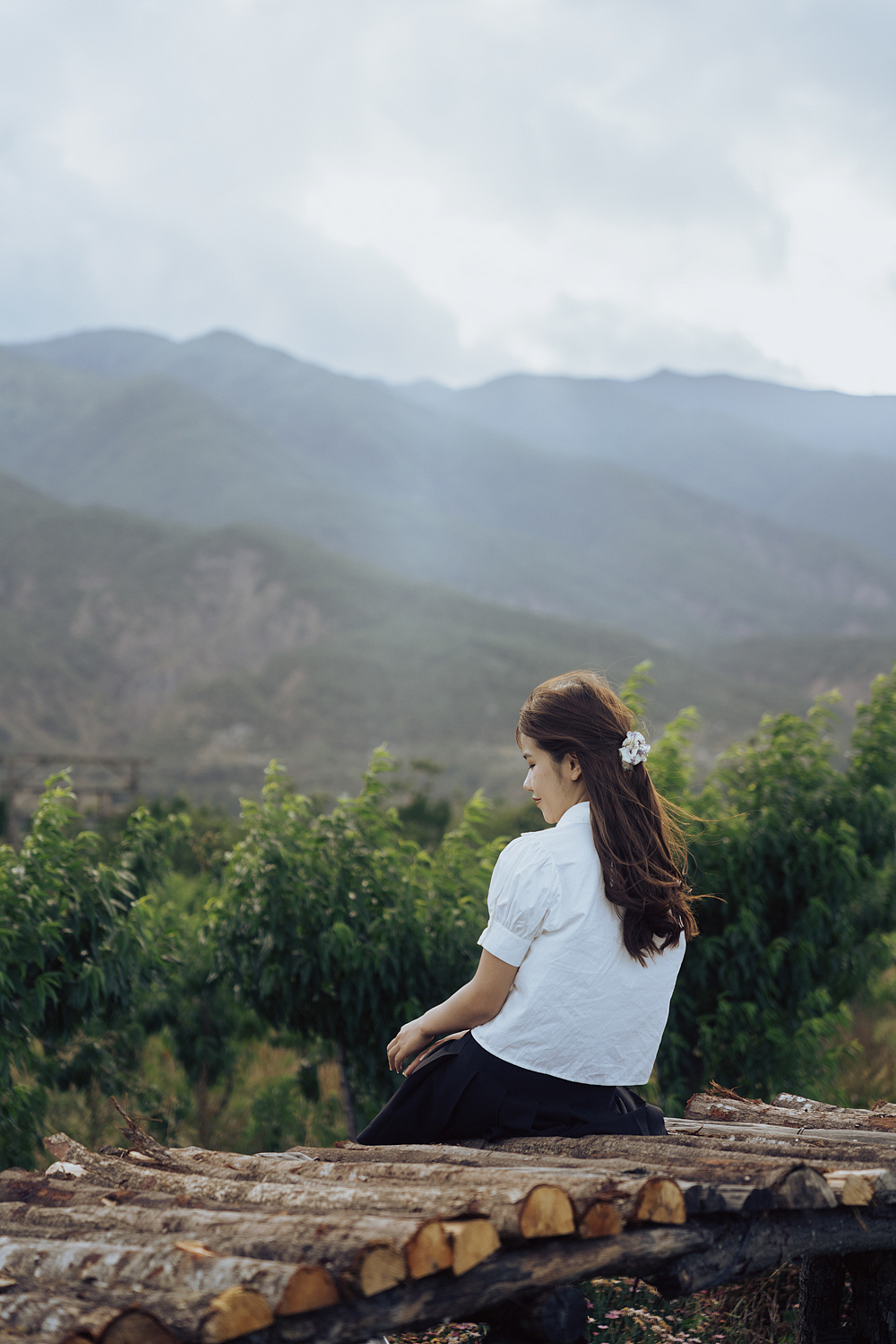 中巴车带我回家