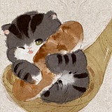 心木小舍的头像