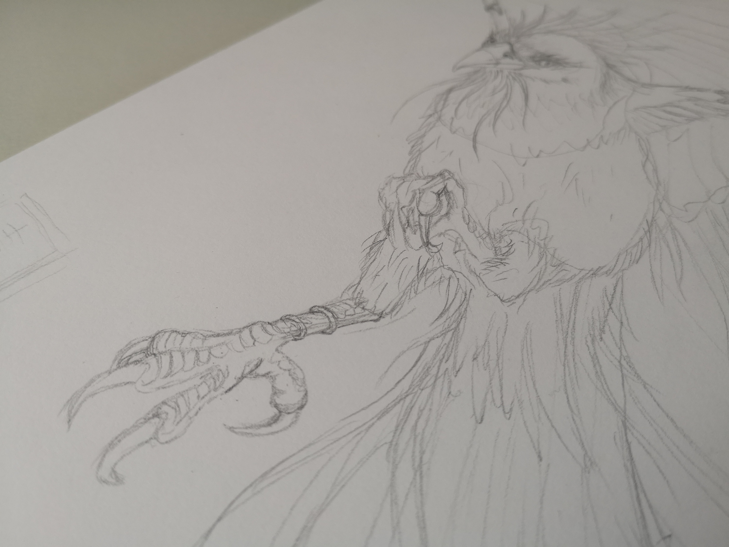 29毣柞山海-山海经-南山经-青丘山-灌灌