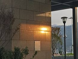 个人工作室网页设计作业，求求了万能的网友友，救命。