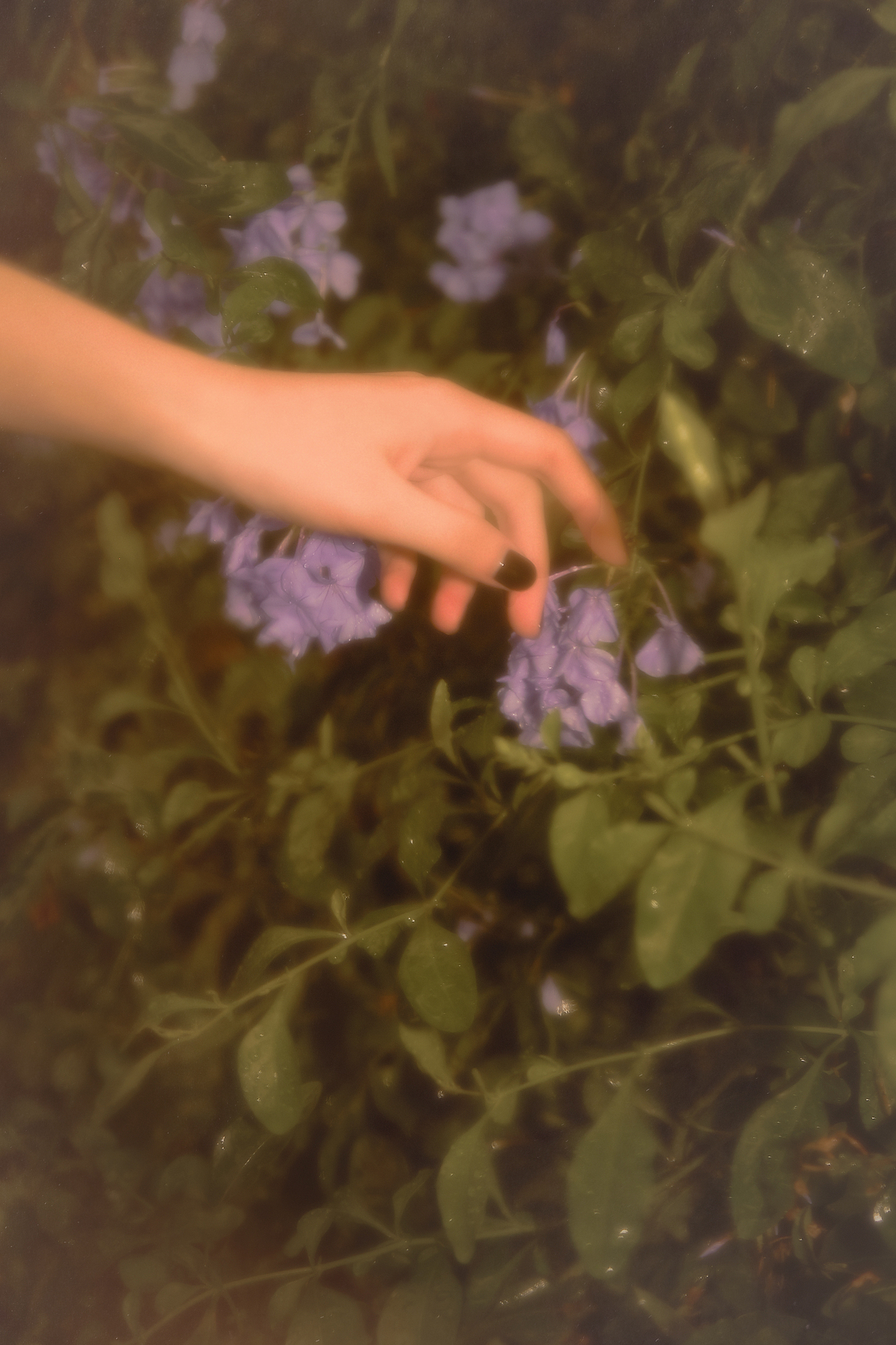 温柔是宝藏,你也是。