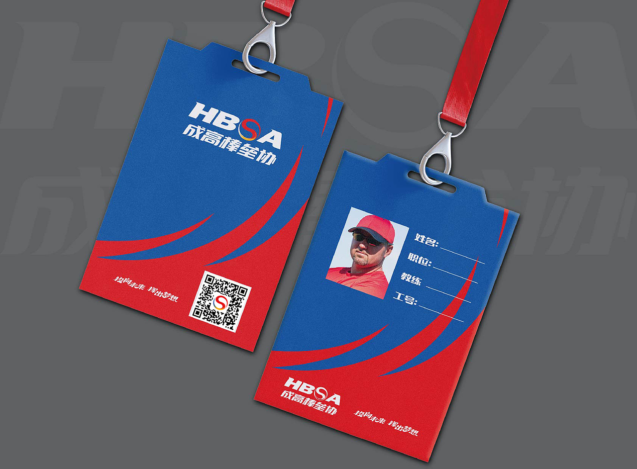 成都市高新区棒垒球协会VI