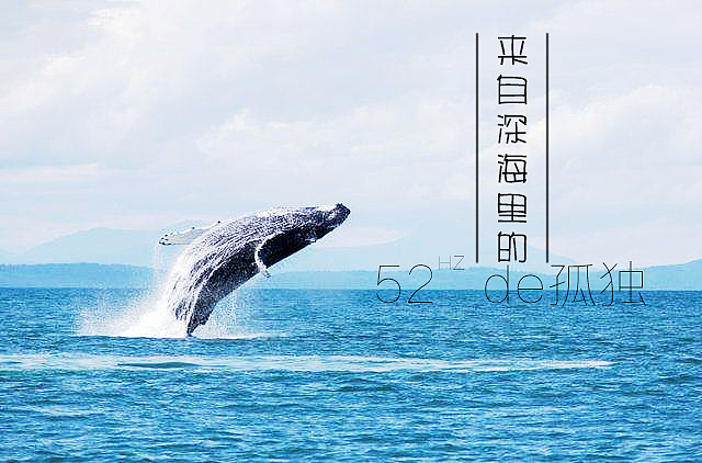 个人练习（图ZODczNzAzNjA=） - 海报 - 站酷设计师孤独丶King原创素材 - 站酷ZCOOL