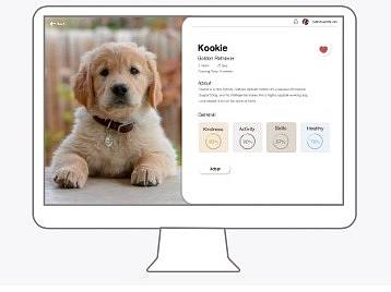 服务设计｜WarmLife